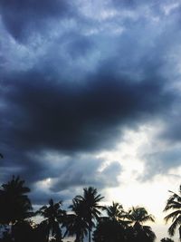 Low angle view of silhouette palm trees against sky