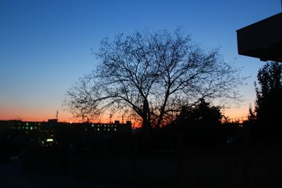 Silhouette of trees and buildings against sky