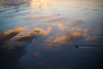 Scenic view of wet beach during sunset