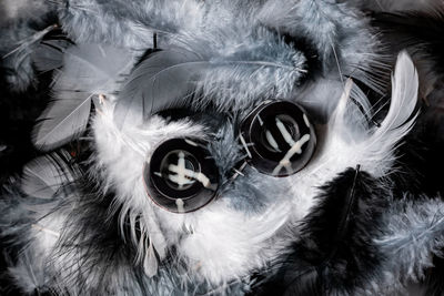 High angle view portrait of mask