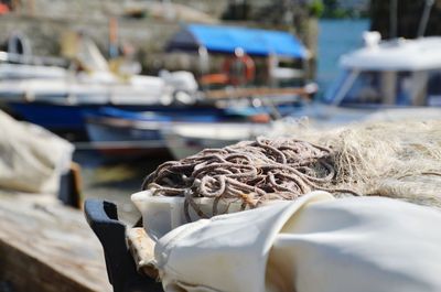 Boats in harbor