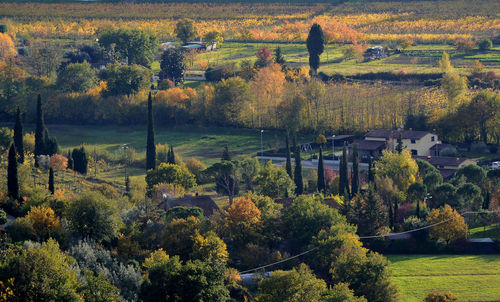 Tuscan countryside landscape in autumn colors, at sunset
