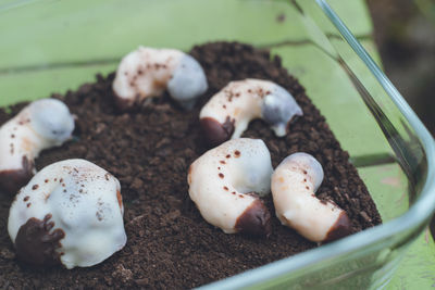 Handmade chocolate candy for valentine's day beetle larvae chocolate and cookie soil