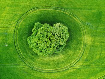 High angle view of agricultural field