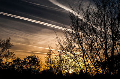 Silhouette trees against dramatic sky during sunset