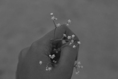 Cropped hand holding flowers outdoors