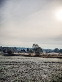 Scenic view of field against sky
