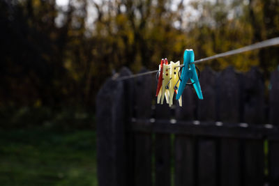 Close-up of clothes drying on clothesline