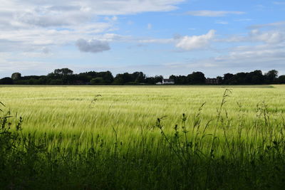 Scenic view of field against cloudy sky