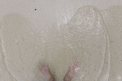Low section of person standing on wet sand