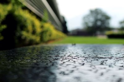 Close-up of water surface