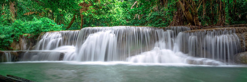 Scenic view of waterfall in forest