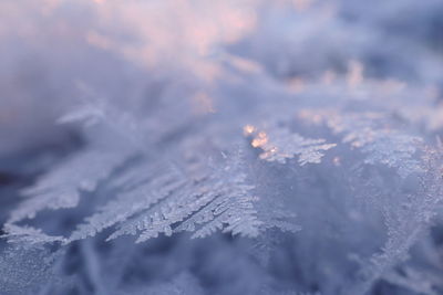 Close-up of snowflakes on snow