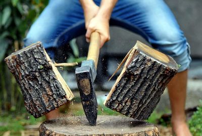 Midsection of man cutting tree stump in forest