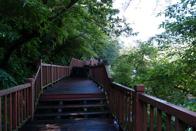 Footbridge in forest