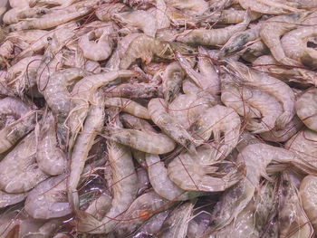 Full frame shot of fish for sale in market