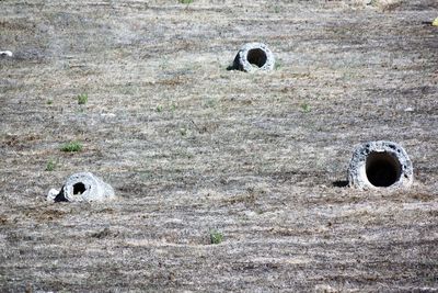 High angle view of soccer ball on ground