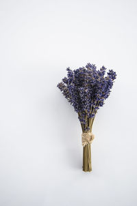 Close-up of purple flower bouquet against white background