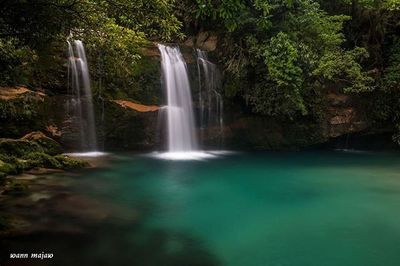 View of waterfall in forest