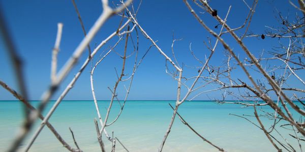 Close-up of sea against clear blue sky