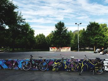 Trees in park