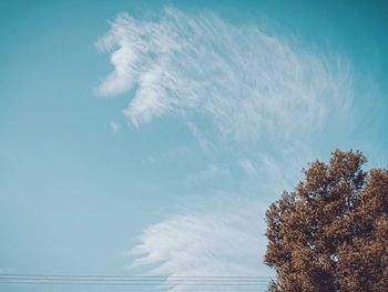 Low angle view of trees against sky