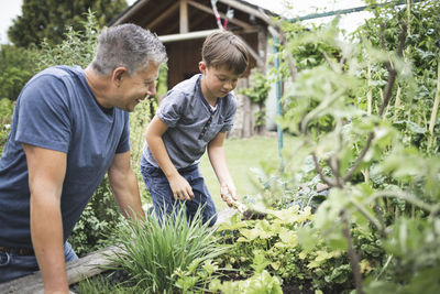 Mature man looking at son gardening raised bed at back yard