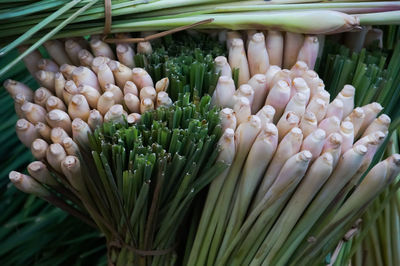 Close-up of spring onions at market for sale