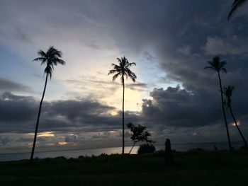 Silhouette palm trees on beach against sky at sunset