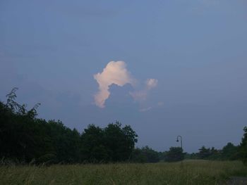 Scenic view of grassy field against sky