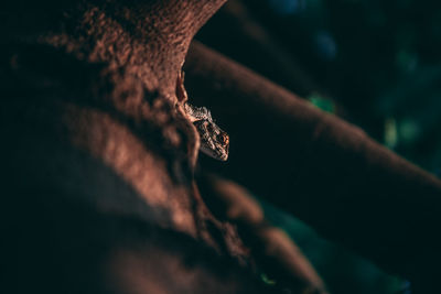 High angle view of wedding rings