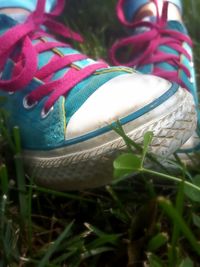 Close-up of multi colored grass