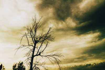 Low angle view of bare tree against dramatic sky