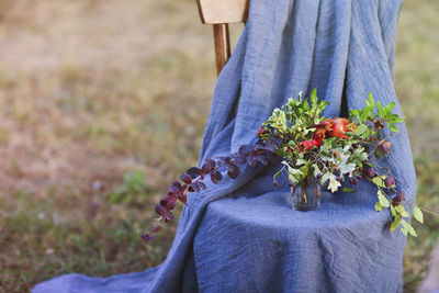 View of flowering plants in glass on chair outdoors