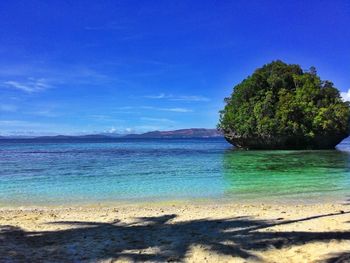 Scenic view of beach against blue sky