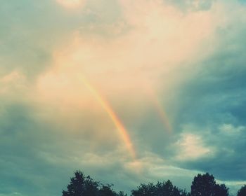 Low angle view of rainbow over trees against sky