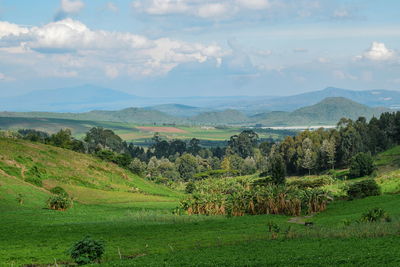 Scenic view of landscape against sky