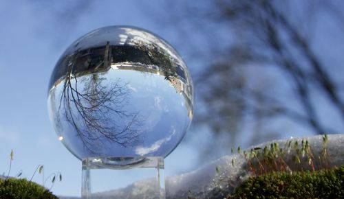 Close-up of crystal ball on glass against trees