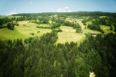 Scenic view of agricultural field against sky