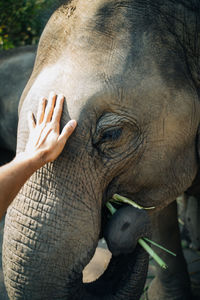 Close-up of human hand touching outdoors