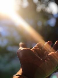 Close-up of hands against blurred background