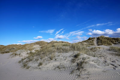 Scenic view of snow covered land against blue sky