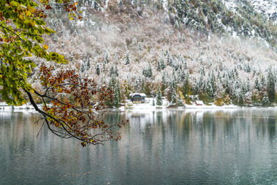 Reflection of trees in lake during winter