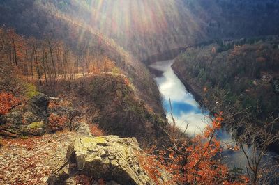 Scenic view of waterfall in forest