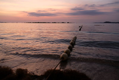 Scenic view of sea during sunset