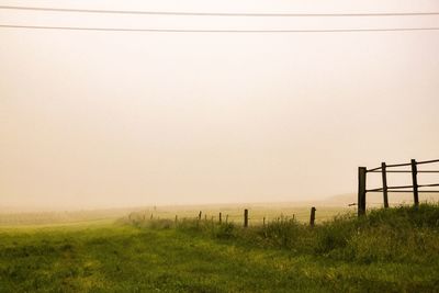 Scenic view of field against clear sky