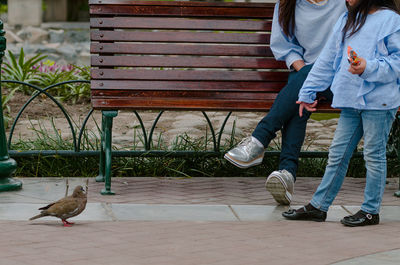 Low section of people on bench