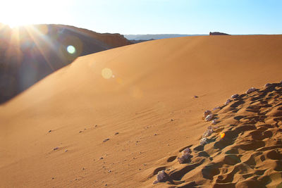 Scenic view of desert against sky