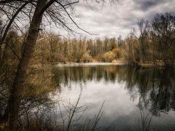 Reflection of trees in lake against sky