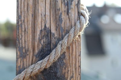 Close-up of rope tied on wooden post